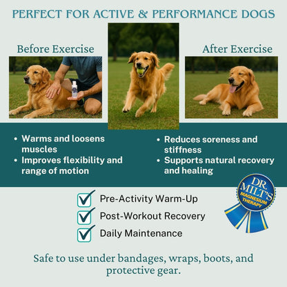 Dr. Milt's Dog Hip and Joint Pain Relief Spray, Topical Magnesium Sulfate & Arnica Ointment. Reduces Inflammation, Lessens Tenderness and Alleviates Nervousness. 1-4oz Spray