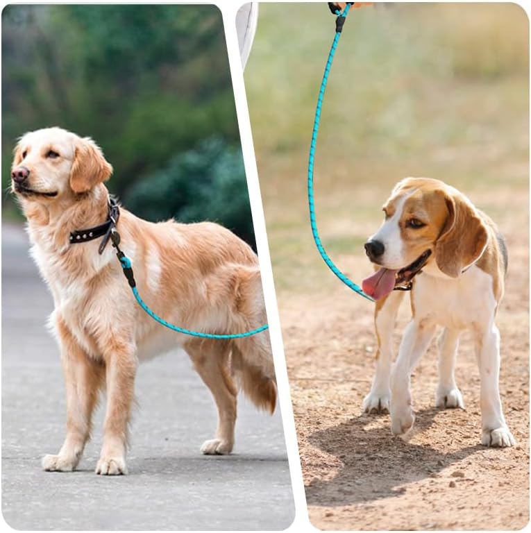 Dog Leash with Padded Handle, Slip Lead Leashes Strong No Pull Training Rope Highly Reflective Threads for Medium Large Dogs,Red,6 FT