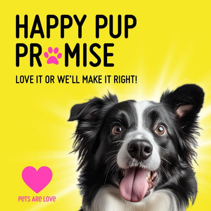 Koby Dog Probiotic Powder – Made with Clean USDA Organic Ingredients for Gut, Digestive, Skin & Immune Support – Vet-Inspired Probiotics for Dogs of All Ages – 7 Billion CFUs, 60 Servings