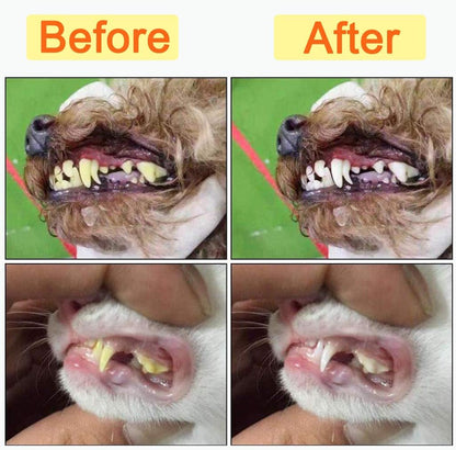 10 Pack Pet Dog Toothbrush, 2 Triple Head Pet Toothbrushes 3 Double Head Tooth Brush 5 Pack Finger Rubber Toothbrushes, Multi-Angle Dental Cleaning Brushes for Dog Cat Oral Dental Health