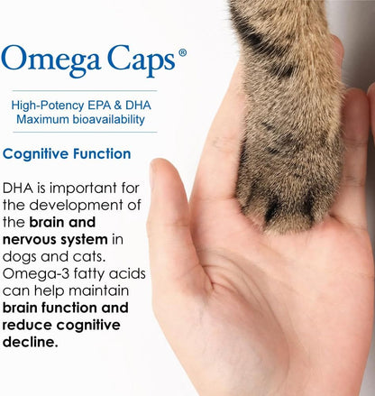 Liquid for Dogs and Cats High Potency Omega-3 and Omega-6 Fatty Acids Concentrated EPA and DHA Fish Oil Supplement Vet Formulated Made in USA Skin Coat Joint and Heart Health 8 fl oz 48 Servings