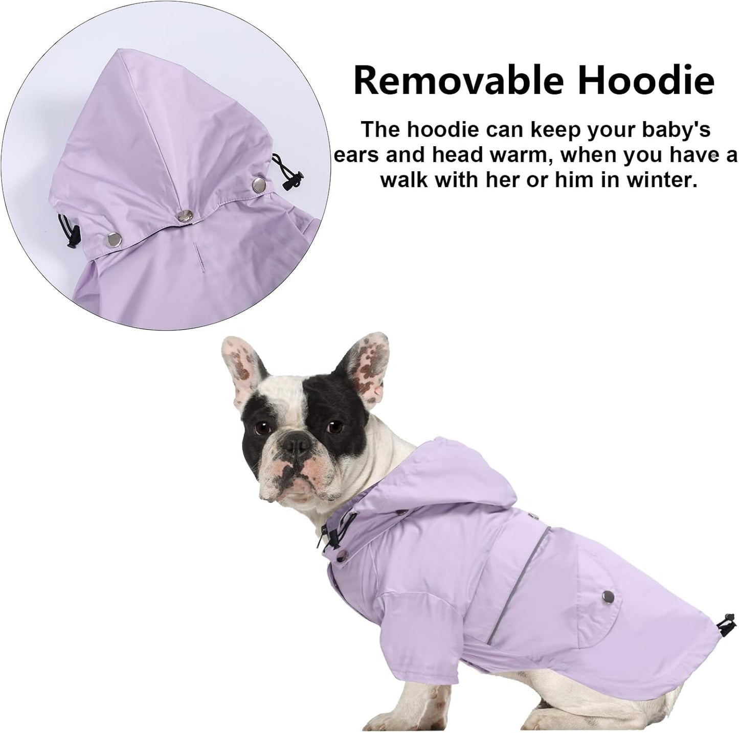 Morezi Dog Zip Up Raincoat with Reflective Buttons, Rain/Water Resistant, Adjustable Drawstring, Removable Hood, Raincoats with Legs 8lbs to 80lbs Available - Purple - M