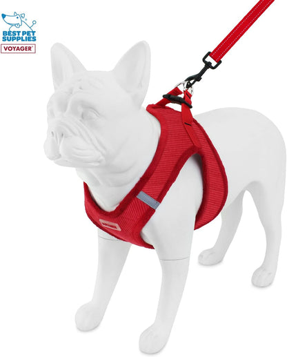 Voyager Step-in Plush Dog Harness – Soft Plush, Step in Vest Harness for Small and Medium Dogs by Best Pet Supplies - Red Corduroy (Leash Bundle), S (Chest: 14.5-16") (Pack of 2)