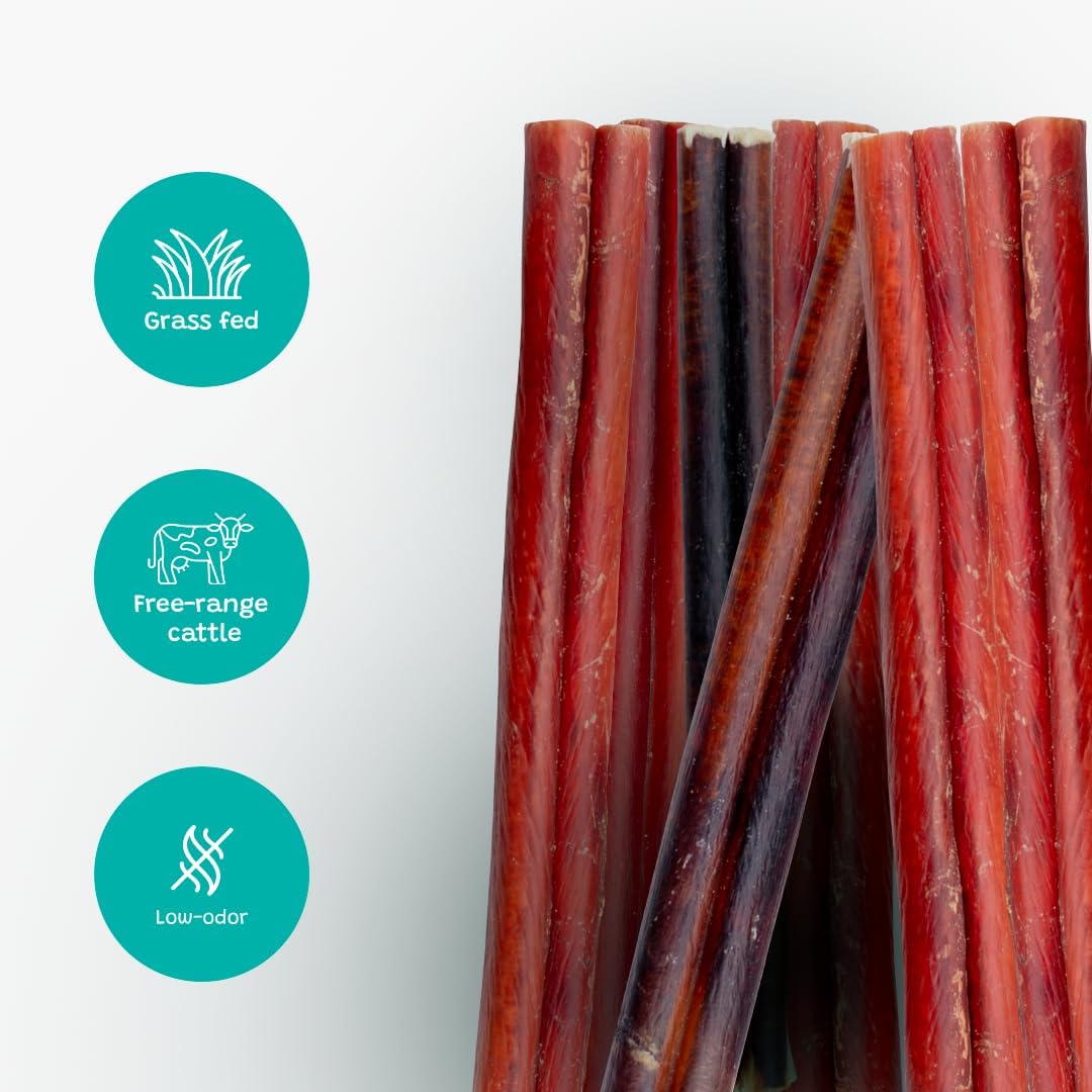 Junior Bully Sticks 6" Beef Bladder — 15 Count | Natural Single-Ingredient, Long-Lasting Dog Chews; Dental Support Treats for Pups and Small Dogs. Puppy Chew Sticks
