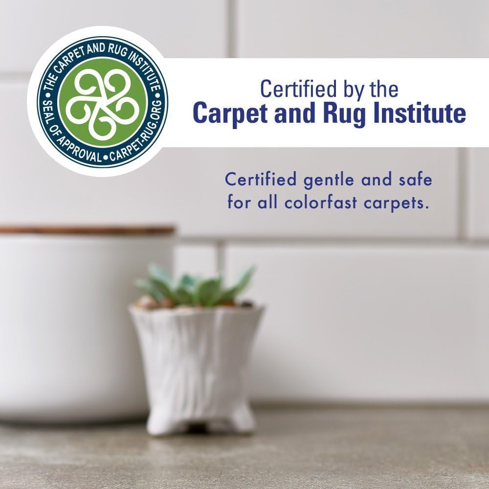 Rocco & Roxie Extreme Stain & Odor Eliminator for Strong Odor, Pet Urine Enzyme Cleaner Destroyer, Stain Remover, Dog Poop and Cat Pee, Enzymatic Carpet Cleaner Spray for Home, Puppy Potty Training