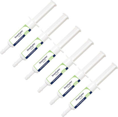 SmartEquine SmartLytes Horse Electrolyte Powder Supplement & SmartLytes Paste Horse Electrolyte Paste 6 Tubes Bundle, Encourages Hydration, Replenishes Electrolytes, No Added Sugar