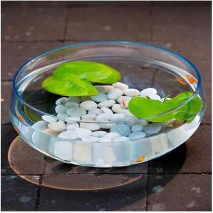 Fish Tank Large Glass Fish Tank Wide Diameter Bowl-Shaped Transparent Desktop Decoration Hydroponic Plant Container Planter