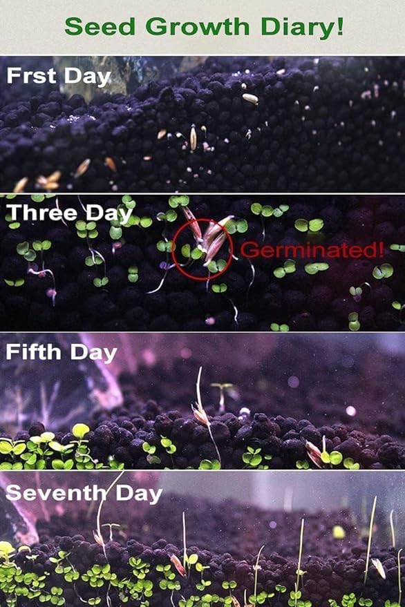 3 Aquarium Plant Se-e-d Combo, no Artificial, Fresh Water Grass for Fish Tank Terrarium Dwarf Carpet