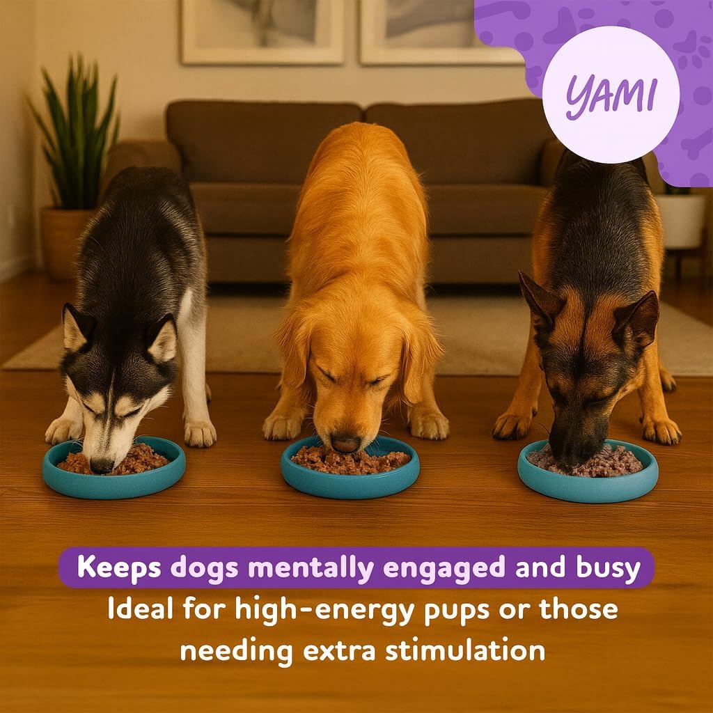 YAMI Bowl Lick Mat for Dogs & Cats, Slow Feeder Bowls, Cat Slow Feeder, Dog Enrichment Toys with Suction Cup for Anxiety Relief, Food-Grade Silicone, Dishwasher Fit, for All Breed (Dark Teal)