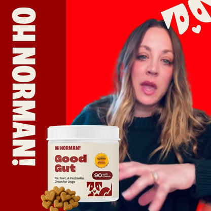Oh Norman! Probiotic Chews for Dogs, Probiotics for Dogs Digestive Health with Enzymes, Allergy Relief for Seniors, Probiotics for Dog Wellness and Comfort