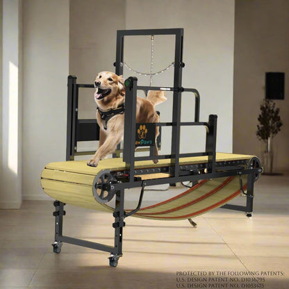 PawPaw's Dog Treadmill for Large Dogs, Medium Dogs with Brake. Dog Slatmill for Healthy & Fit Dog Life, Dog Treadmill for Indoor & Outdoor. Treadmill for Dogs up to 330 lbs