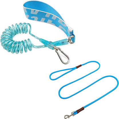 WYuZe 5FT Puppy Leash + Chew Proof Dog Leash with Shock Absorption for Small Dogs, Blue
