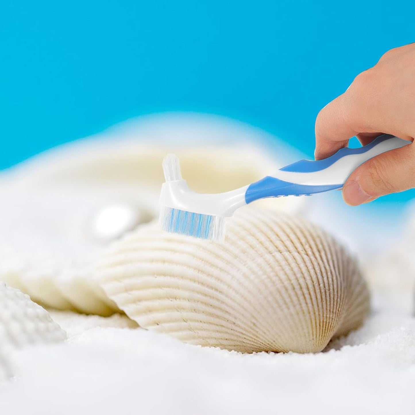 2Pcs Multi-Functional Small Turtle Shell Cleaning Brush Dirt Remover for Tortoise Mud Removal Household Mini Cleaner for Reptile Health Supplies