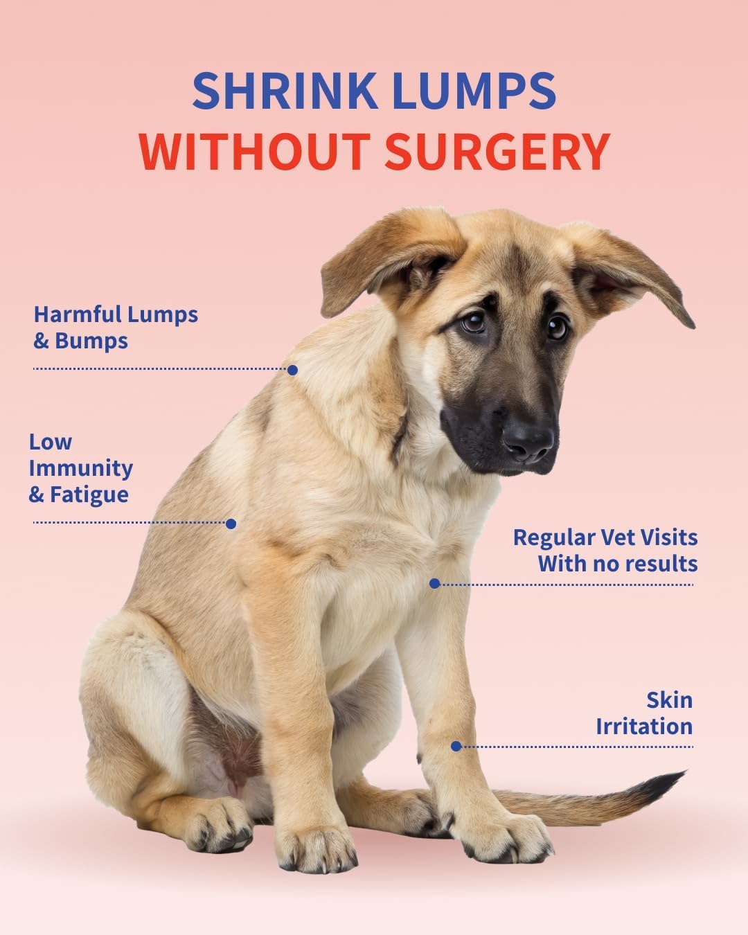 Fifth & Fido Probiotics for Dogs - Turkey Tail Mushroom Powder - Lipoma Treatment for Dogs - Pet Food Topper - Mushroom Supplement for Lumps, Bumps & Warts - Pet Vitamins and Supplements, 200 Servings