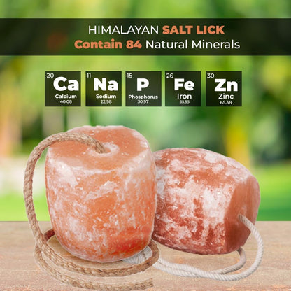 Himalayan Salt Lick 3-4 lbs Each | Pack of 4 | Licking Salt for Horses | Deer Salt Lick Block | Block Salt on Rope | Himalayan Licking Salt for Animals.