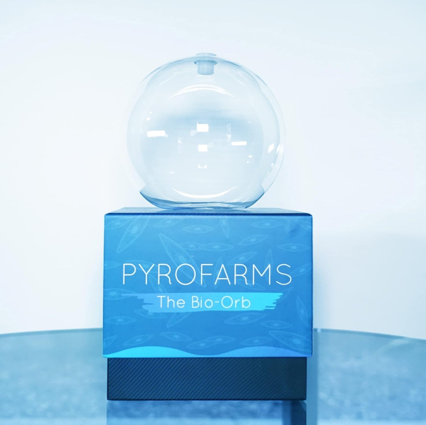 Large Bioluminescent Bio-Orb Gift Option - Living 6-inch Glass Orb with Free Glowing Plankton Coupon