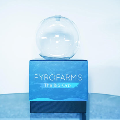 Large Bioluminescent Bio-Orb Gift Option - Living 6-inch Glass Orb with Free Glowing Plankton Coupon