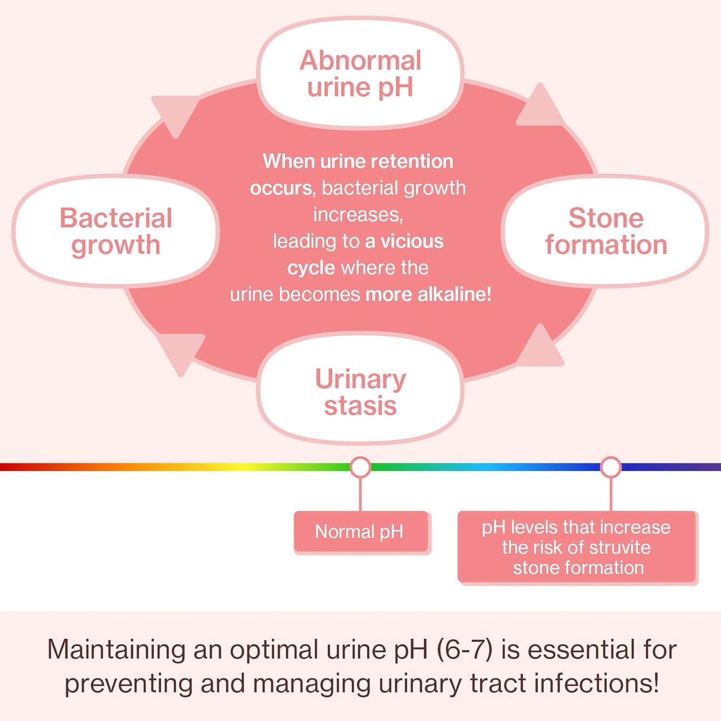 Doctor By UT Care Cat UTI Kidney Support Urinary Supplement Cranberry Treatment for Cats Renal Health with Pacran, Quercetin, Taurine lickable Formula Individually Packaged (1 Pack)