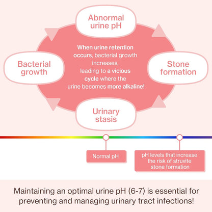 Doctor By UT Care Cat UTI Kidney Support Urinary Supplement Cranberry Treatment for Cats Renal Health with Pacran, Quercetin, Taurine lickable Formula Individually Packaged (1 Pack)