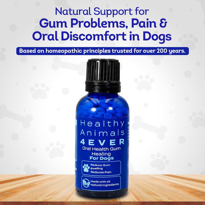 HA4E - Dog Oral Health Supplement - Relieves Inflammation, Soothes Pain & Fights Gum Disease - Natural, Non-GMO, Organic, Gluten-Free & Chemical-Free - 300 Tablets
