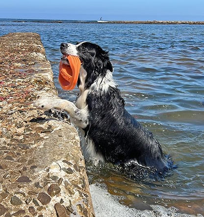 Van Ness Pets Doggi Catch and Carry Flying Disc Floating Dog Toy, Large, Orange (Pack of 2)