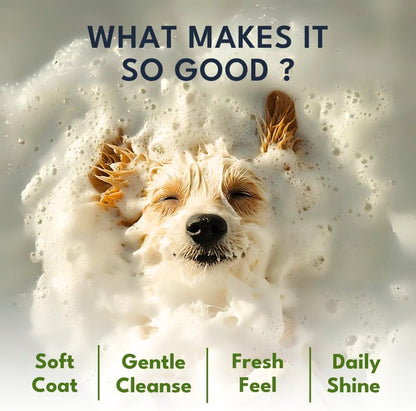 Dog Shampoo and Conditioner – Dog Shampoo for Shedding & Smelly Dogs – Aloe & Lemongrass Scent - Puppy Safe All Breeds Pet Friendly Dogs Shampoo (10.14 floz)