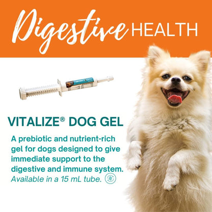 Vitalize Dog Gel - After Surgery Recovery & Probiotics Alternative Immune Support Booster Supplement for Dogs Digestive & Gut Health - Liquid Gel Paste (15 ml) (Pack of 2)