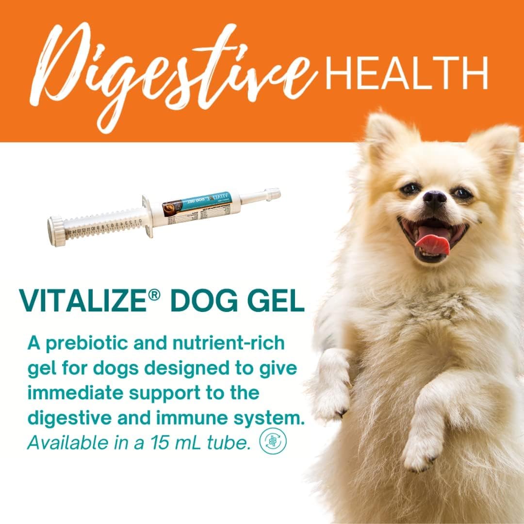 Vitalize Dog Gel - After Surgery Recovery & Probiotics Alternative Immune Support Booster Supplement for Dogs Digestive & Gut Health - Liquid Gel Paste (15 ml) (Pack of 2)
