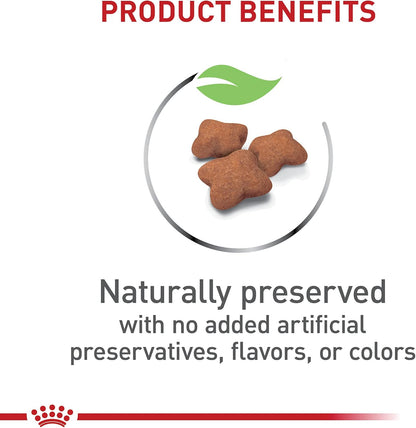 Royal Canin Feline Health Nutrition Spayed/Neutered Kitten Dry Cat Food, 2.5 lb Bag