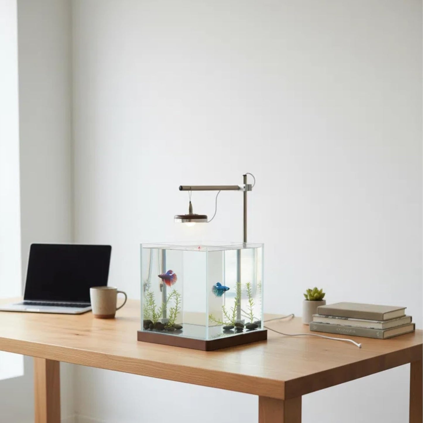 1.8 Gallon Small Fish Tank with LED Light & Wood Stand - 8 Inch Nano Aquarium Betta Tank Starter Kit - Includes Cleaning Tool, Cloth & Mat for Desktop, Office, Bedroom