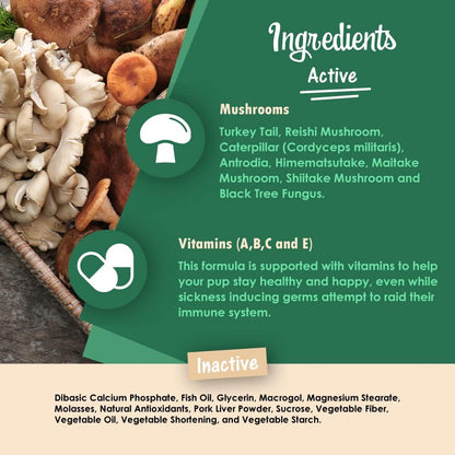Mycogen for Dogs - Vitamins with 8 Types of Mushrooms - Support Immune System - 60 Soft Chews