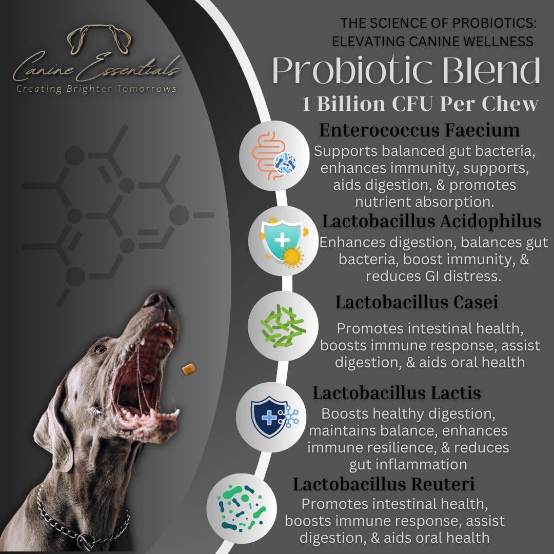 Probiotics for Dogs – Duck Flavour – Approx. 90 Chews, 8 oz – Digestive & Immune Support Supplement – Human-Grade Ingredients – Supports Animals in Need