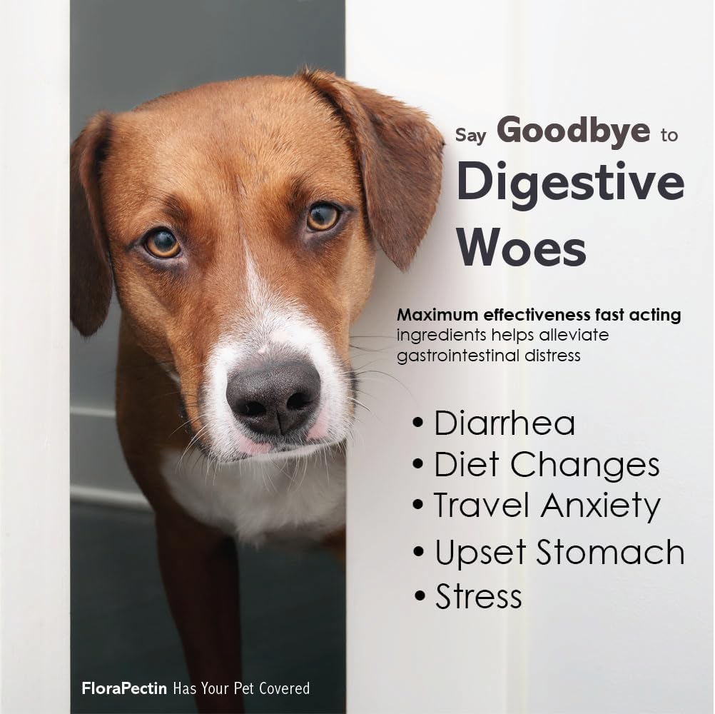 Oral Paste for Dogs & Cats-Helps Reduce Occasional Loose Stool & Diarrhea, Balance Gut pH, Support Normal Digestion & Intestinal Flora-Fast Acting (15 CC - Tasty Chicken Flavor)