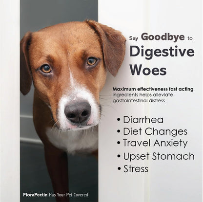 Oral Paste for Dogs & Cats-Helps Reduce Occasional Loose Stool & Diarrhea, Balance Gut pH, Support Normal Digestion & Intestinal Flora-Fast Acting (15 CC - Tasty Chicken Flavor)