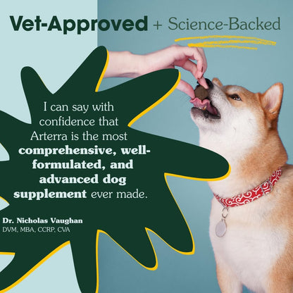 Arterra Longevity Multivitamin for Dogs – 50% Active Ingredients – Vet-Formulated Daily Soft Chews for Gut, Brain, Joint & Immune Health – Human-Grade Supplement | 30 Count