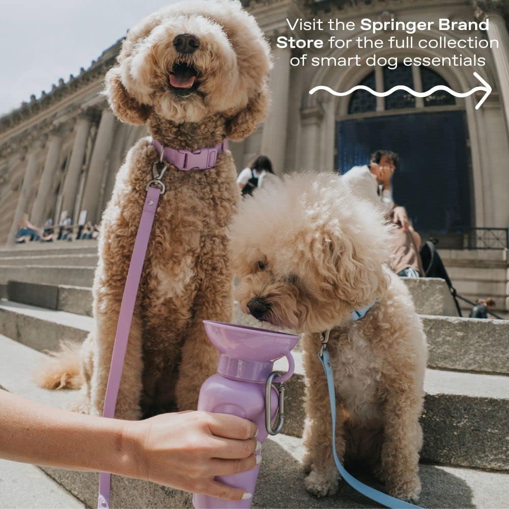 Springer by Springland Dog Water Bottle | Portable Travel Water Bottle Dispenser for Dogs | Dog Gift Seen on Oprah's Favorite Things, Shark Tank | Leak-Proof Bottles | BPA-Free 15oz Sky Blue