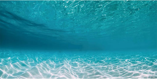 AWERT 48x24 inches Undersea Aquarium Background Pool Ocean Floor Aquarium Background Underwater Fish Tank Background