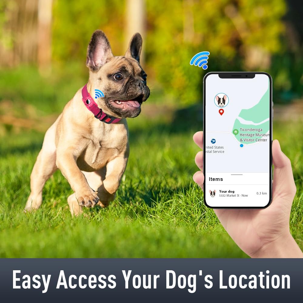 Airtag Dog Collar with AirTag Holder for Small Dogs, Reflective, Soft Padded & Safety Locking Buckle, Nylon Pet Collars Adjustable for All Breeds, Hotpink,S