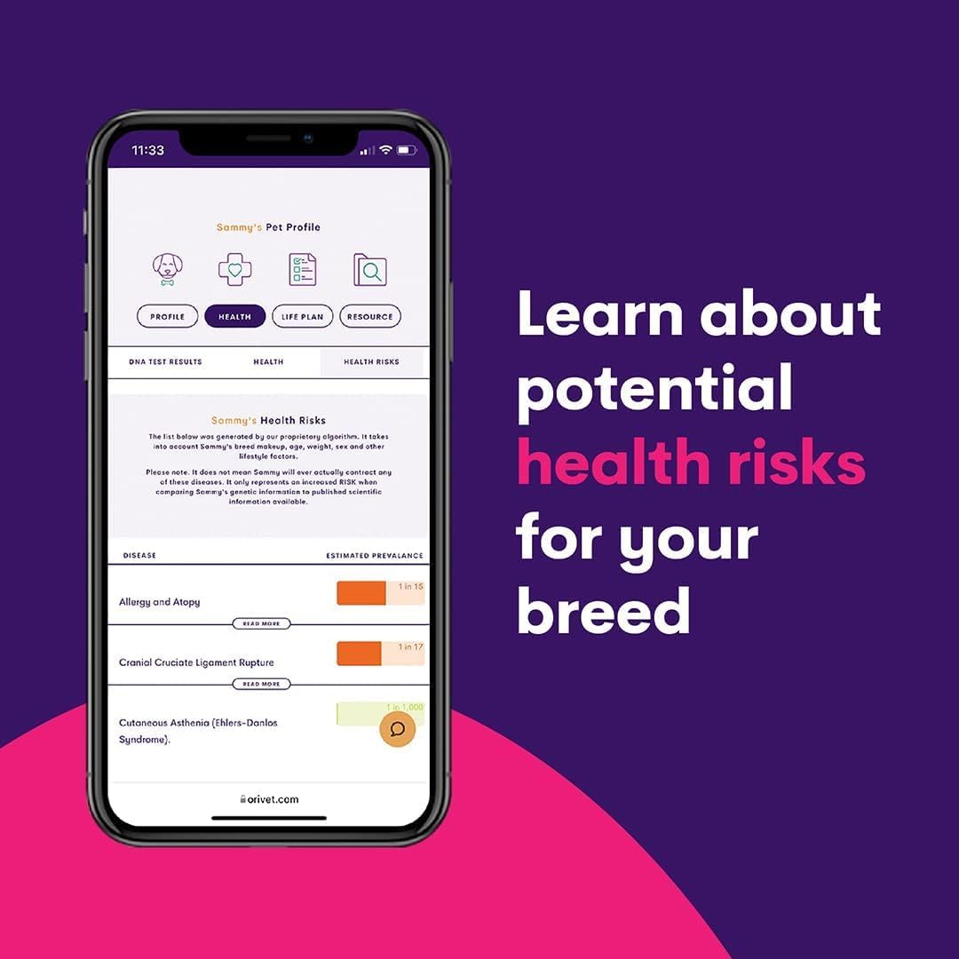 ORIVET GenoPet Dog DNA Test Kit | Vet-Approved | Identify 365+ Dog Breeds | Canine Ancestry & Genetic Health Traits | at-Home Swab | Results in 21–25 Days from Kit Arrival