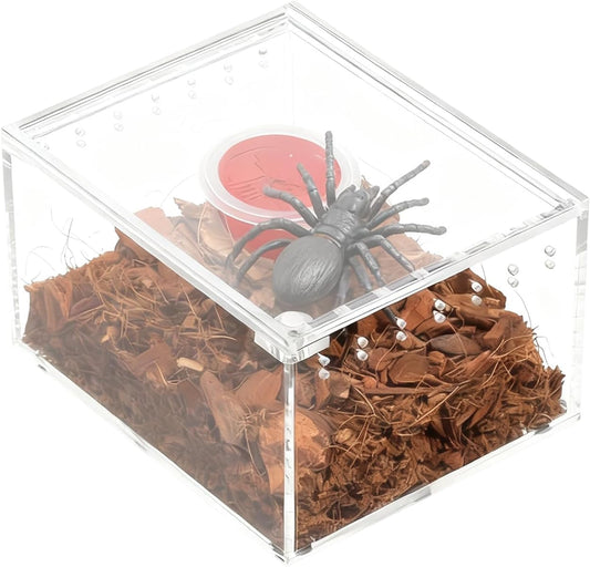 Jumping Spider Habitat | Transparent Gecko Breeding Container | Acrylic Small Terrarium,for Lizard Frog Gecko Snail Turtle Observation Breeding Feeding
