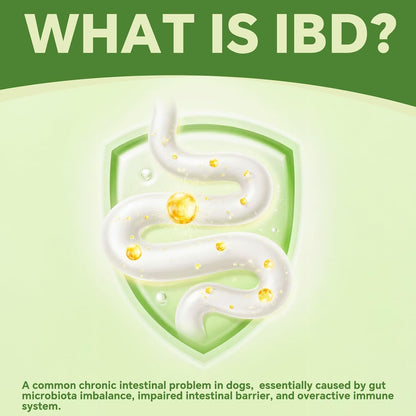 Probiotics for Dogs | Gut Health | Dogs Digestive Support | Dog Constipation Relief | Dog Stomach Upset Medicine | B12 for Dogs Supplement for IBD Support – Digestive Health– Diarrhea & Gas Relief