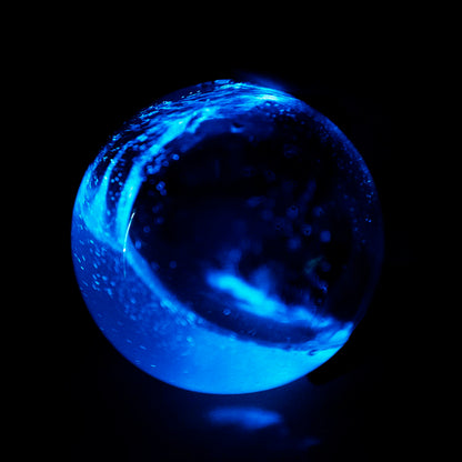 Large Bioluminescent Bio-Orb Gift Option - Living 6-inch Glass Orb with Free Glowing Plankton Coupon