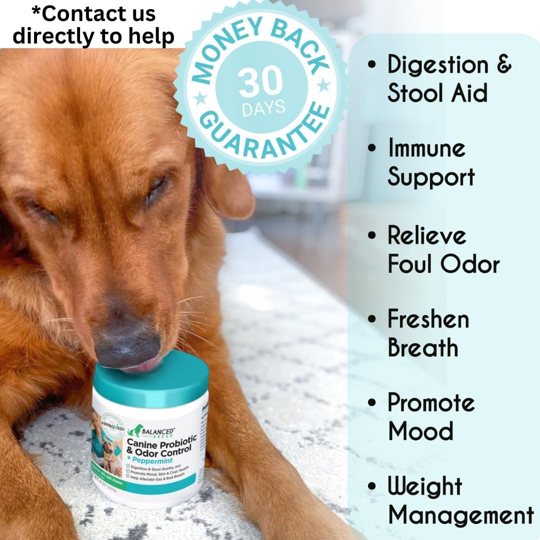 Balanced Breed Dog Probiotics Digestive Health Enzymes Made in USA Vet-Pharmacist Approved Fortiflora Probiotics Dogs Anti Yeast Supplements Constipation Relief Dog Yeast Itchy Skin Itchy Ears Non-GMO
