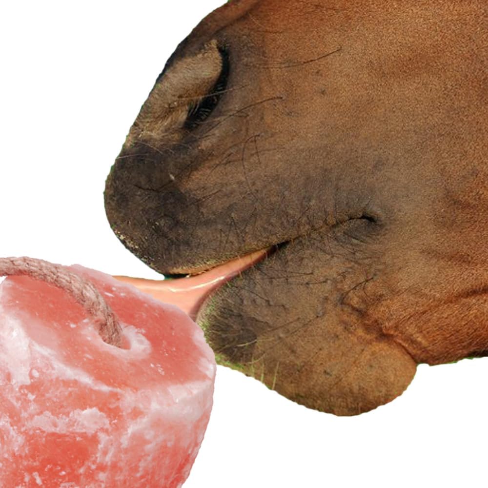 Himalayan Salt Lick 3-4 lbs Each | Pack of 4 | Licking Salt for Horses | Deer Salt Lick Block | Block Salt on Rope | Himalayan Licking Salt for Animals.