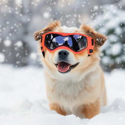PETLESO Dog Goggles Small Breed, Dog Sunglasses UV Protection Puppy Eyewear for Small Pet Outdoor Riding Driving, Orange S