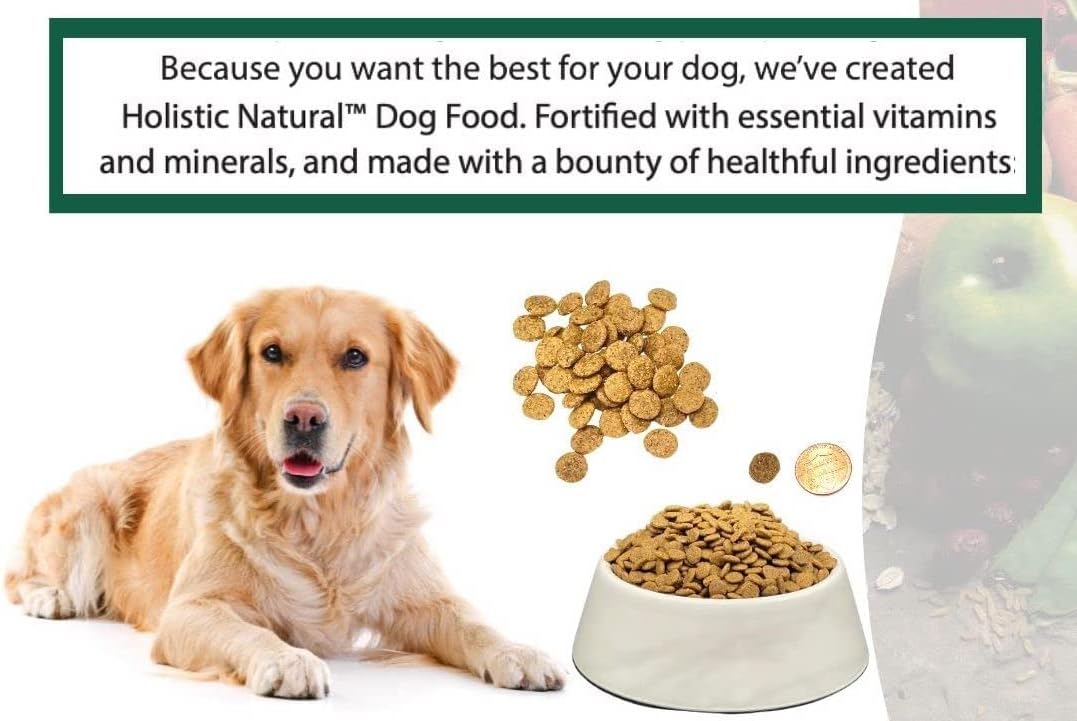 Bench & Field Holistic Natural Adult Dry Dog Food, Chicken Meal and Brown Rice Recipe 6.6 lb Bag (Pack of 1)