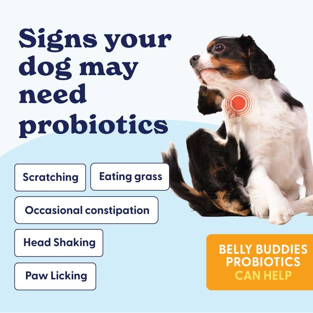 Origin Labs Belly Buddies - Probiotics for Dogs - Prebiotics & Probiotics - Supports Gut, Skin, and Immune Health - 5 Billion CFUs 7 Strain Probiotic Blend - Natural Bacon Flavor, 90 Soft Chews