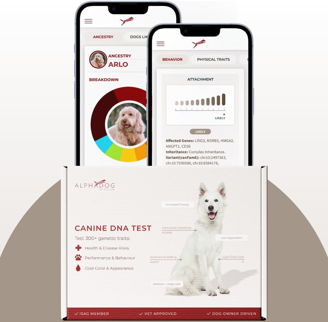 AlphaDog DNA Behavioral Traits & Breed Composition Analysis Kit with Personalized Marketplace Access – Canine DNA Test for Breed Identification, Behavior Insights & More
