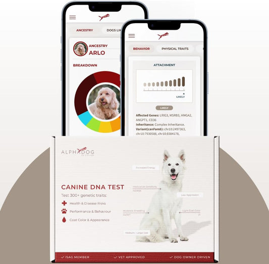AlphaDog DNA Behavioral Traits & Breed Composition Analysis Kit with Personalized Marketplace Access – Canine DNA Test for Breed Identification, Behavior Insights & More