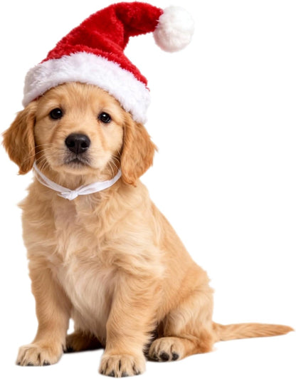 Wildarms Pet Adjustable Santa Hat Small Dog Cats Christmas Costume Accessories Puppy Kitten Christmas Outfit (Red)